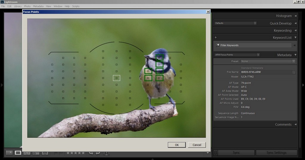 Show Focus Points Metadata from Lightroom