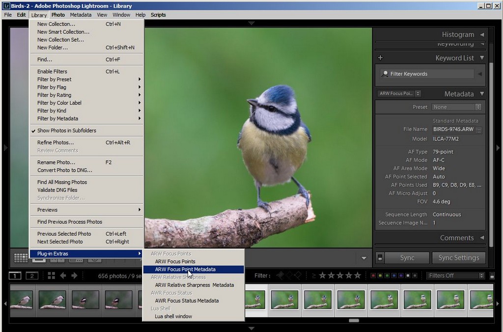 ARW Show Focus Points